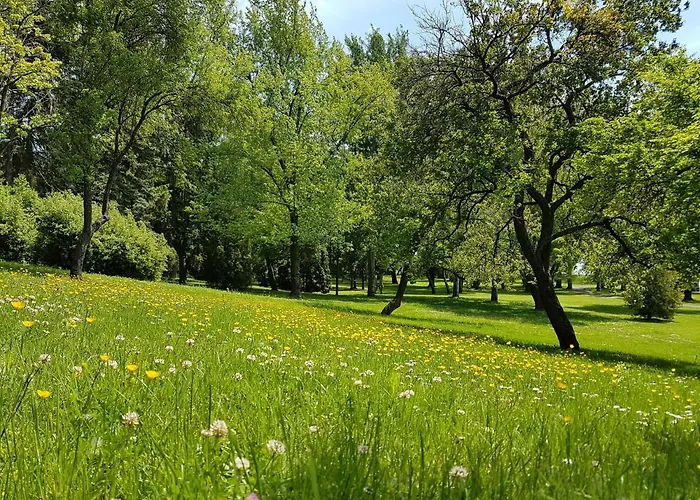 Semesteranläggning (resort) Vizparti Ueduelo *